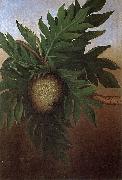 Hawaiian Breadfruit, oil on canvas painting by Persis Goodale Thurston Taylor, c. 1890